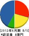 壱松組 貸借対照表 2012年6月期