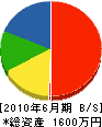 新井電業 貸借対照表 2010年6月期