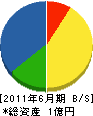 タケシタ 貸借対照表 2011年6月期