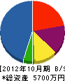 島谷建設 貸借対照表 2012年10月期