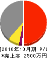 島田組 損益計算書 2010年10月期
