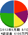 伸亜建 貸借対照表 2012年6月期