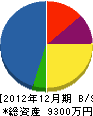 三東電設 貸借対照表 2012年12月期