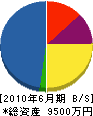 松川建設 貸借対照表 2010年6月期