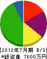 田島工務店 貸借対照表 2012年7月期