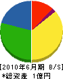 大塚設備 貸借対照表 2010年6月期