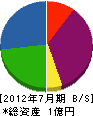 サヨ総合設備 貸借対照表 2012年7月期