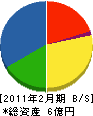 辻木材 貸借対照表 2011年2月期