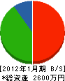 佐久組 貸借対照表 2012年1月期