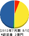 斎藤木材 貸借対照表 2012年7月期