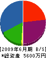 中田建設工業 貸借対照表 2009年6月期