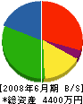 永井電気商会 貸借対照表 2008年6月期