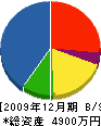 丸忠熊谷工務店 貸借対照表 2009年12月期