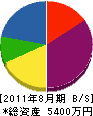 中野塗装店 貸借対照表 2011年8月期