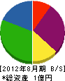 石澤電機工業 貸借対照表 2012年8月期