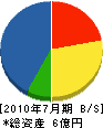 松本工務店 貸借対照表 2010年7月期
