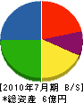 寺井電気工業 貸借対照表 2010年7月期