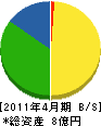 川俣組 貸借対照表 2011年4月期
