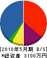 寺田建築 貸借対照表 2010年5月期