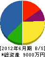 菅原塗装 貸借対照表 2012年6月期