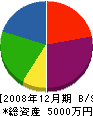 東京コート 貸借対照表 2008年12月期