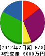 佐野工業 貸借対照表 2012年7月期