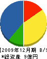 戸田組 貸借対照表 2009年12月期