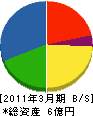 三洋静岡設備 貸借対照表 2011年3月期