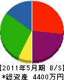 松村塗装店 貸借対照表 2011年5月期