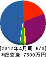 辻組 貸借対照表 2012年4月期