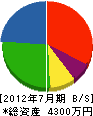大塚機工 貸借対照表 2012年7月期