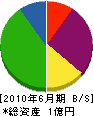 渡辺工務店 貸借対照表 2010年6月期