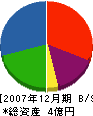 岩賢住宅 貸借対照表 2007年12月期