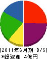 矢澤フェロマイト 貸借対照表 2011年6月期
