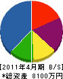 大塚工業 貸借対照表 2011年4月期