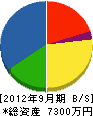 藤沢電機 貸借対照表 2012年9月期