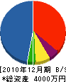 カネタケ電水工業 貸借対照表 2010年12月期
