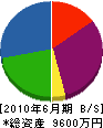 中澤エンジニアリング 貸借対照表 2010年6月期