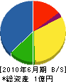 ヤギシタ 貸借対照表 2010年6月期