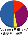 片山土木工業 貸借対照表 2011年1月期