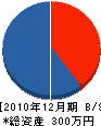 竹脇建設 貸借対照表 2010年12月期