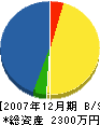 大淀設備工業所 貸借対照表 2007年12月期