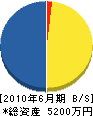 長崎建設 貸借対照表 2010年6月期