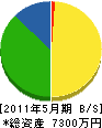 丸勇建設 貸借対照表 2011年5月期