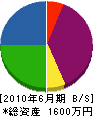 鶴岡企業 貸借対照表 2010年6月期