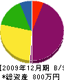 國分塗装店 貸借対照表 2009年12月期