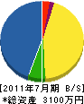 橋本庭松園 貸借対照表 2011年7月期