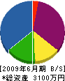 太田組 貸借対照表 2009年6月期