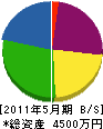 坂本電設 貸借対照表 2011年5月期