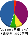 渡辺配管所 貸借対照表 2011年6月期